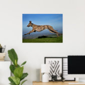 Rescue Dog Greyhound Sighthound Brindled Lurcher Poster (Heimbüro)
