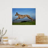 Rescue Dog Greyhound Sighthound Brindled Lurcher Poster (Küche)