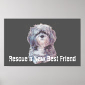 Rescue Dog Poster (Vorne)