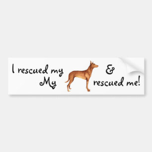Rescue Pharaoh Hound Autoaufkleber