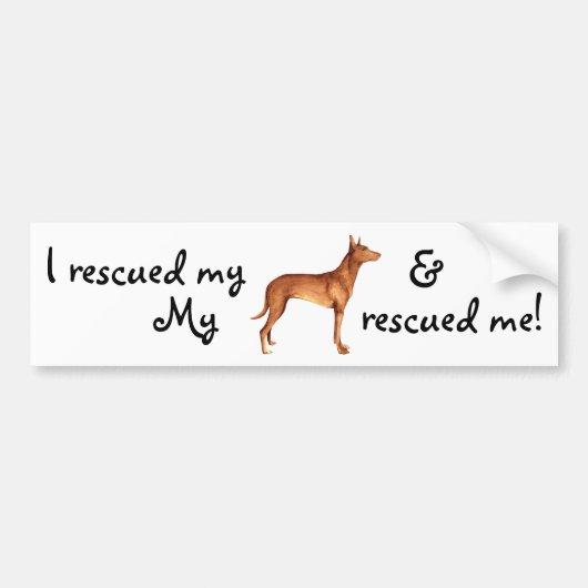 Rescue Pharaoh Hound Autoaufkleber (Vorne)