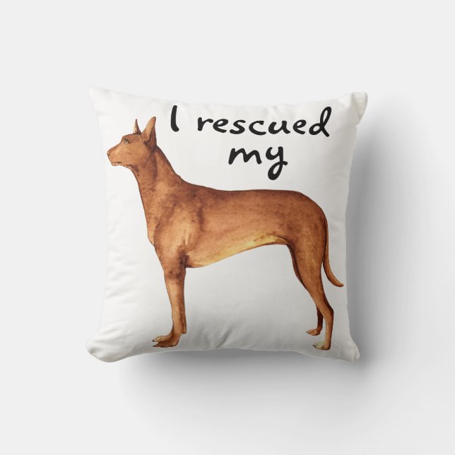 Rescue Pharaoh Hound Kissen (Vorderseite)