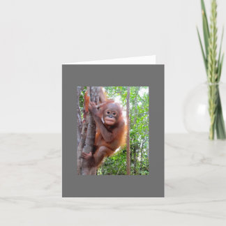 Rescued Baby Orangutan Uttuh Karte