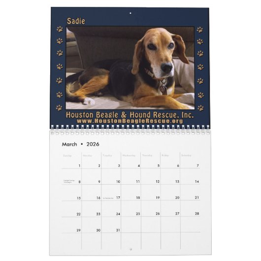 Rescued Beagles 2026 Wall Calendar Kalender (Mär 2026)
