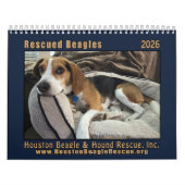 Rescued Beagles 2026 Wall Calendar Kalender (Titelbild)