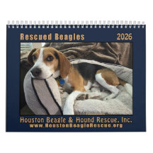 Rescued Beagles 2026 Wall Calendar