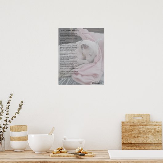 Rescuer's Rainbow Bridge poster (Küche)