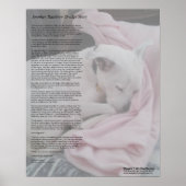 Rescuer's Rainbow Bridge poster (Vorne)
