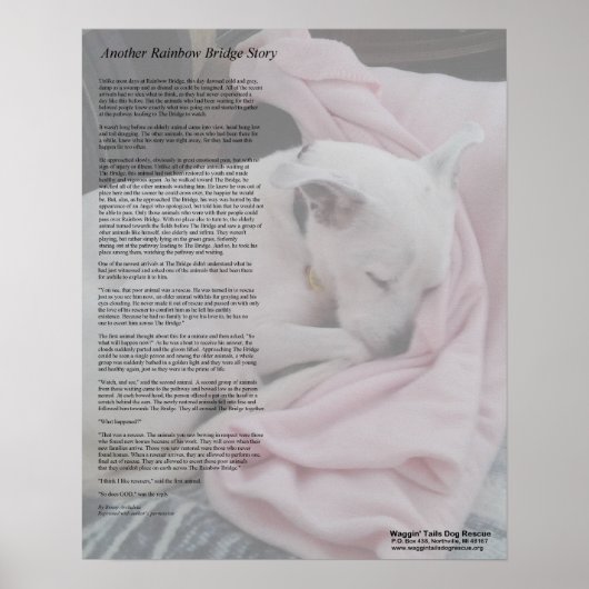 Rescuer's Rainbow Bridge poster (Vorne)