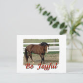 Rescuted Morgan Horse: Sei froh Postkarte (Stehend Vorderseite)