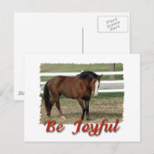 Rescuted Morgan Horse: Sei froh Postkarte (Vorne/Hinten)
