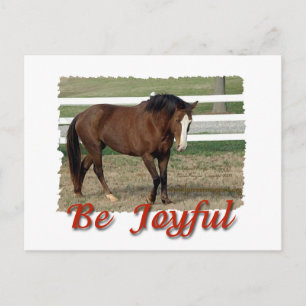 Rescuted Morgan Horse:  Sei froh Postkarte