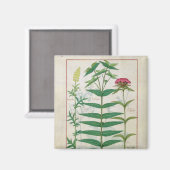 Reseda, Euphorbia und Dianthus Magnet (Vorderseite/Rückseite)