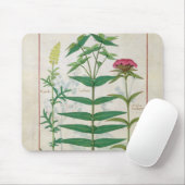 Reseda, Euphorbiengummi und Dianthus Mousepad (Mit Mouse)