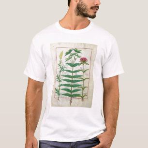 Reseda, Euphorbiengummi und Dianthus T-Shirt