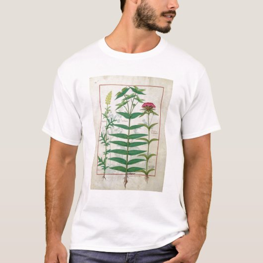 Reseda, Euphorbiengummi und Dianthus T-Shirt (Vorderseite)