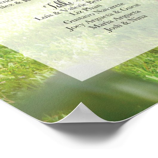 RESERVIERTE Sitzkarte für Iris+Adam (28" x 20") Poster (Ecke)