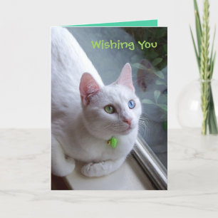 Reservierungskarte Feiertagskarte