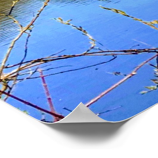 Reservoir Reflection II Poster (Ecke)