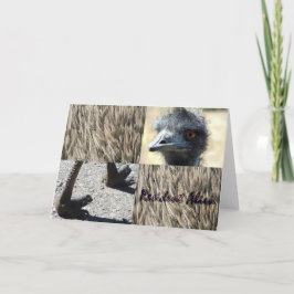 Resident Alien Karte