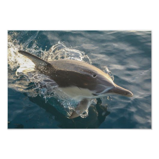 Resident Rider Fotodruck (Vorne)