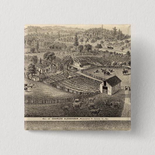 Residenz Charles Alexander Button (Vorderseite)