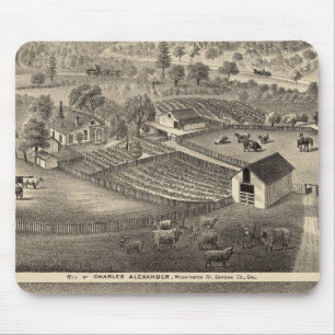 Residenz Charles Alexander Mousepad