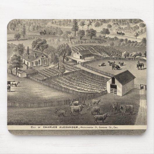 Residenz Charles Alexander Mousepad (Vorne)