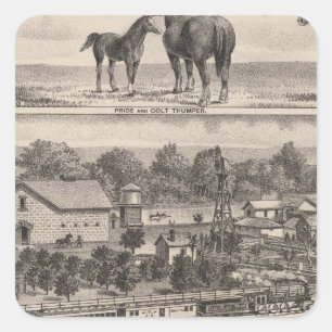 Residenz von James Potter, Junction City, Kansas Quadratischer Aufkleber