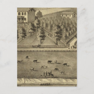 Residenz William Schrader Postkarte