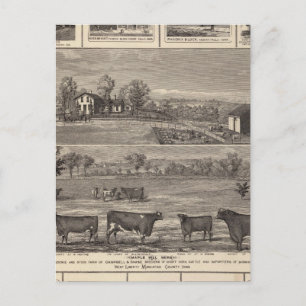 Residenzen, Bauernhof, Unternehmen in W Liberty, A Postkarte