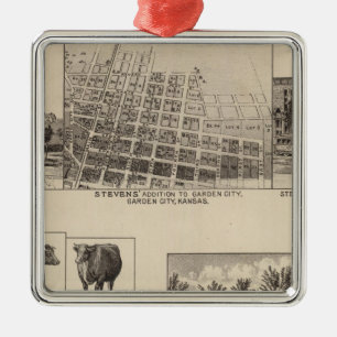 Residenzen in Kansas Silbernes Ornament