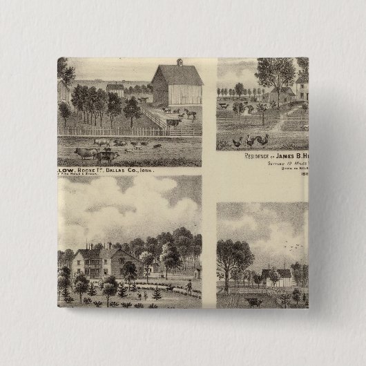 Residenzen von Swallow Button (Vorderseite)