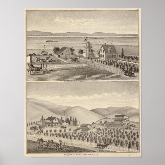 Residenzen Wrede, Nebas Poster (Vorne)