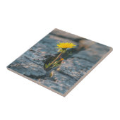 Resilient Dandelion Ceramic Tile Fliese (Seite)