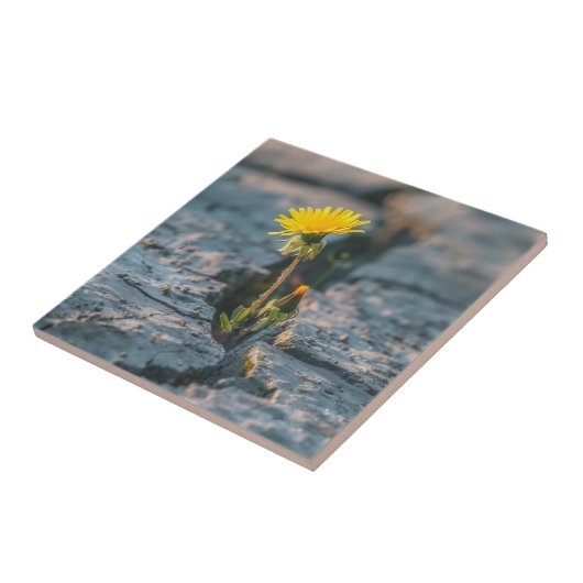 Resilient Dandelion Ceramic Tile Fliese (Seite)