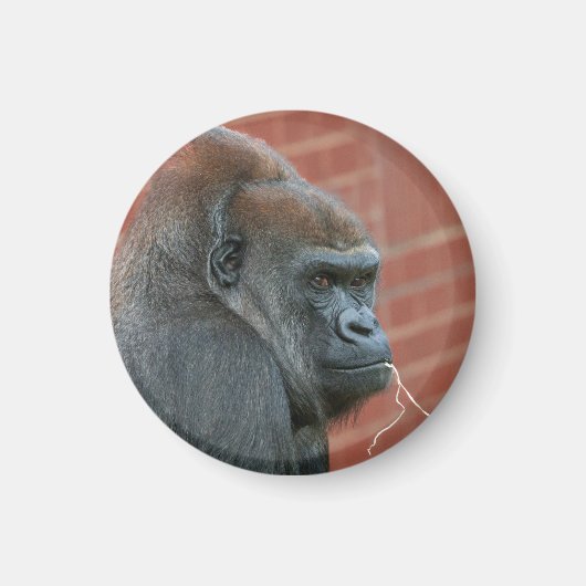 Resilient Gorilla Mother Magnet (Vorne)