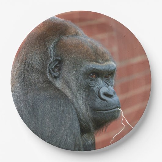 Resilient Gorilla Mother Pappteller (Vorderseite)