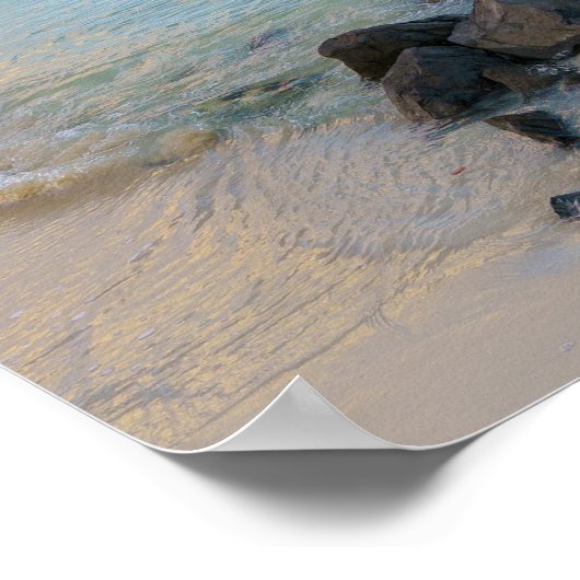 Resilient tree, soft coastal Caribbean Poster (Ecke)