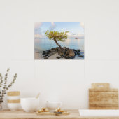 Resilient tree, soft coastal Caribbean Poster (Küche)