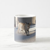 Resolute Katze Kaffeetasse (Mittel)