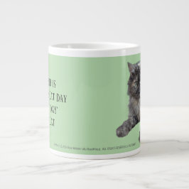 Respektiere deine Katze von RoseWrites Jumbo-Tasse