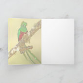 Resplendent Quetzalmann Karte (Innenseite)