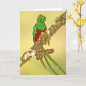 Resplendent Quetzalmann Karte (Gelbe Blume)
