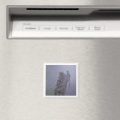 Resplendenter Quetzal-2x2-Magnet Magnet (In Situ (Geschirrspüler))