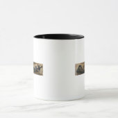 Respublica, Aquila Gentium Tasse (Zentrum)