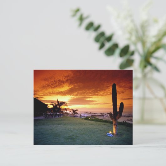 Restaurant La Concha, Baja, Mexiko Postkarte (Stehend Vorderseite)