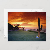 Restaurant La Concha, Baja, Mexiko Postkarte (Vorne/Hinten)