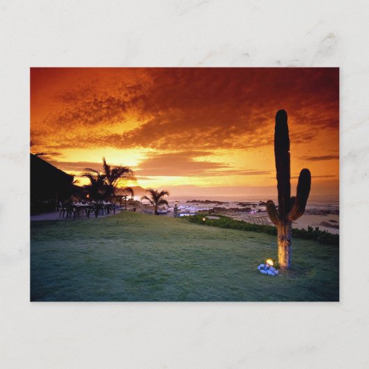 Restaurant La Concha, Baja, Mexiko Postkarte (Vorderseite)