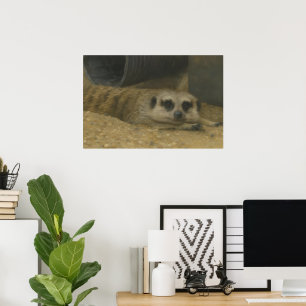 Restauration Meerkat - Realistische Wildlife Art Poster